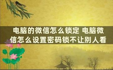 电脑的微信怎么锁定 电脑微信怎么设置密码锁不让别人看